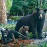 Puzzle Eurographics Nouvelles découvertes 1000 pièces