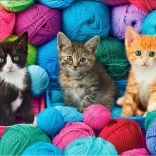 Puzzle 1000 pièces Chats dans des pelotes de laine