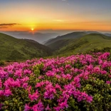 Puzzle Crépuscule rose 1000 pièces