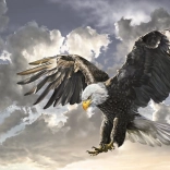 Puzzle Noir et Blanc 500 Pièces