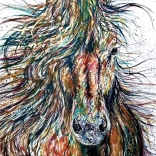 Puzzle ANATOLIAN Vent 500 pièces