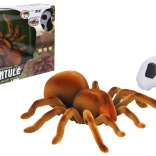 Tarantule télécommandée 24 cm