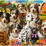 Puzzle Castorland chiens heureux à la campagne 1000 pièces