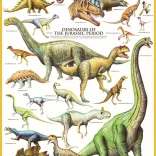 Eurographics puzzle dinosaures du Jurassique 1000 pièces