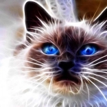 Peinture diamant Magie féline 30 × 40 cm