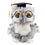 Chouette en peluche diplômée