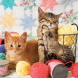 Puzzle Pelotes Douces 1000 pièces