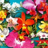 Puzzle Jungle des orchidées 1000 pièces