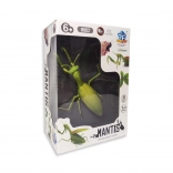 Mante religieuse RC – modèle lumineux téléguidé pour enfants