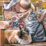 Puzzle CHERRY PAZZI Pause féline 1000 pièces