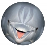 Balle sous-marine SPORTO – dauphin pour piscine et jardin