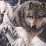 Puzzle Le Seigneur du Nord 1000 pièces COBBLE HILL