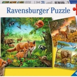 Ravensburger puzzle Animaux 3×49 pièces