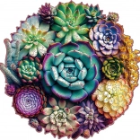EscapeWelt puzzle en bois Succulentes 500 pièces