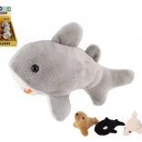 Peluches animaux marins 10–12 cm