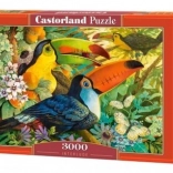 Puzzle 3000 pièces – toucans Interlude CASTORLAND