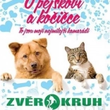 PC Le chien et le chat