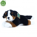Chien bouvier bernois en peluche allongé 23 cm ECO friendly