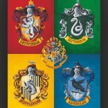 Tableau 3D Harry Potter coloré