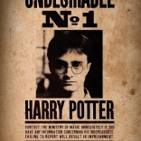 Mini puzzle HARRY POTTER 50 pièces – affiche