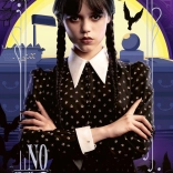 Puzzle 300 pièces Mercredi