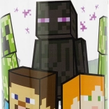 Bouteille d'eau Minecraft 560 ml