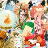 Profitez du puzzle Chats Curieux 1000 pièces