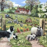 Puzzle Apprentissage Précoce 1000 pièces