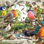 Puzzle Ravensburger Nos amis à plumes 1000 pièces