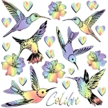 Images thermocollantes colibris arc-en-ciel – petite planche 15 × 21 cm