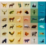 Puzzle CLOUDBERRIES Fauna 1000 pièces