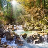 Puzzle Ríčka v lese 2000 pièces CASTORLAND