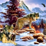 Puzzle Nouvelle Aube 1000 Pièces de Bluebird