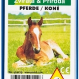 Quartet – Chevaux dans une boîte en plastique