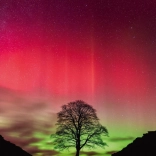 Heye Puzzle Force de la Nature: Sycamore Gap 1000 Pièces