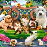 Puzzle 1000 pièces - Animaux au parc