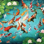 Puzzle EUROGRAPHICS carpes koï 1000 pièces