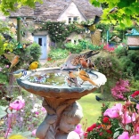 Puzzle Oiseaux d’été 1000 pièces