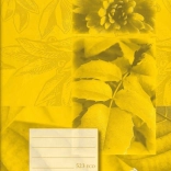 Cahier scolaire A5 ligné 12 mm, 20 feuilles – jaune