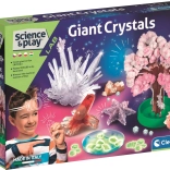 CLEMENTONI Science&Play Laboratoire : Mega cristaux lumineux