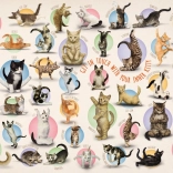 eurographics puzzle yoga des chats xl 500 pièces