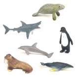 Lot d’animaux marins en boîte – 6 pcs