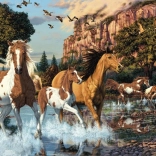 Puzzle Chevaux cachés 1000 pièces – Secret Collection