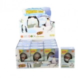 Œuf avec pingouin qui grandit dans l’eau