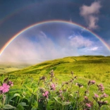 Puzzle 1500 pièces Arc-en-ciel au-dessus du pré