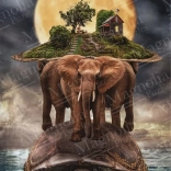 Puzzle MAGNOLIA planète Terre 1000 pièces