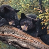 Puzzle Cobble Hill – En attendant maman, 1000 pièces