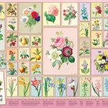 Puzzle Pierre-Joseph Redouté 1000 pièces de Cobble Hill