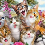 Puzzle Selfie de chats 500 pièces SCHMIDT