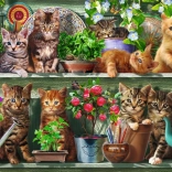 Puzzle Chats sur les étagères 500 pièces
